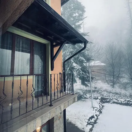 фокс хаус Fox House