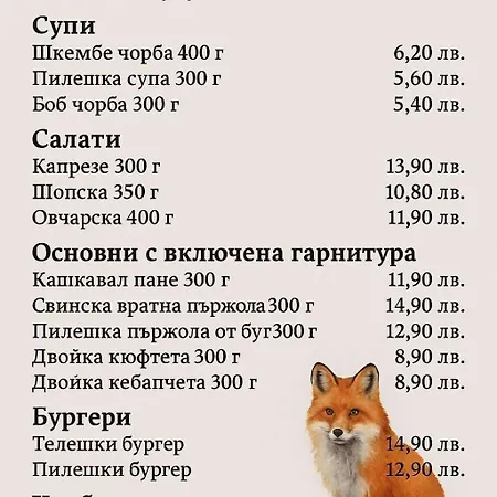 фокс хаус Fox House 페시테라