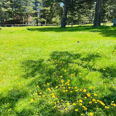 фокс хаус Fox House 호텔 *