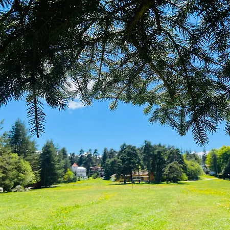 호텔 фокс хаус Fox House *