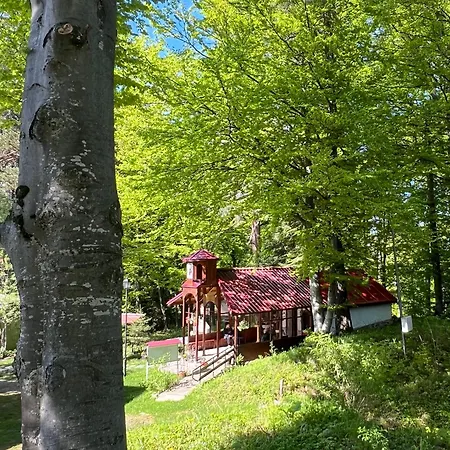 фокс хаус Fox House 호텔 *