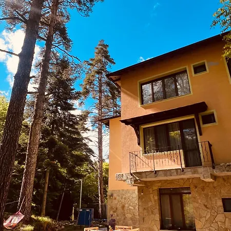 фокс хаус Fox House