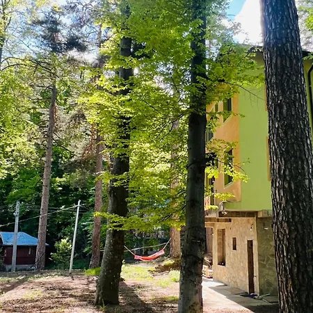 фокс хаус Fox House מלון *