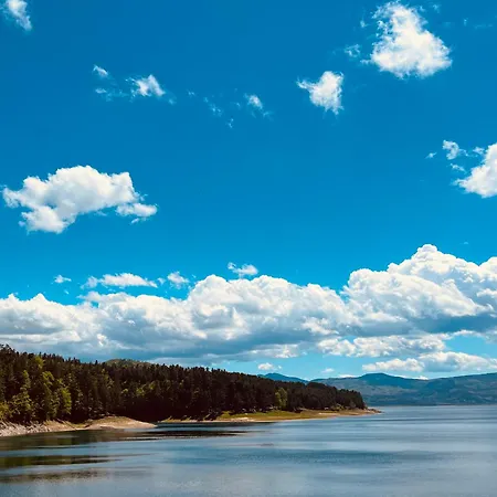 фокс хаус Fox House