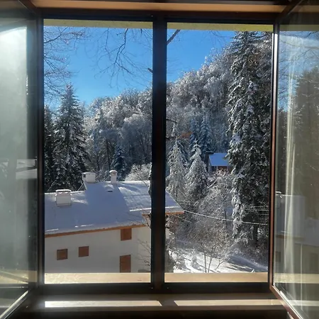 фокс хаус Fox House