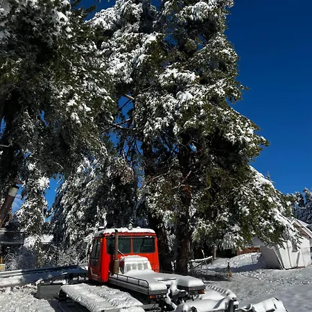 Hotel фокс хаус Fox House