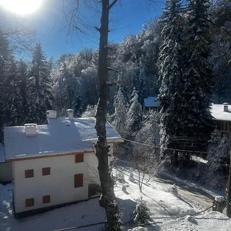 Hotel фокс хаус Fox House Peštera