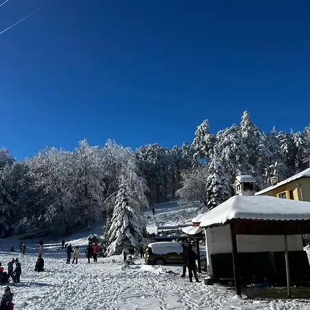 Hotel фокс хаус Fox House