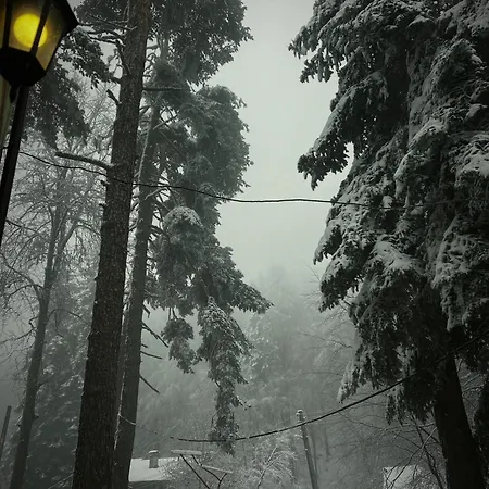 Hotel фокс хаус Fox House Peshtera (Pazardzhik)