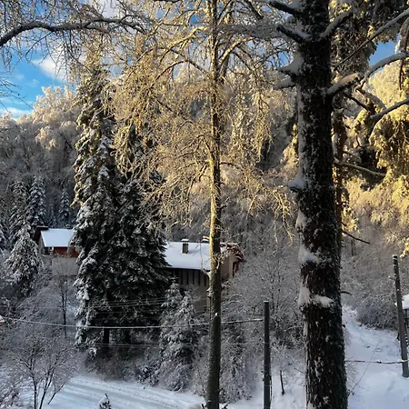 фокс хаус Fox House Hotel *