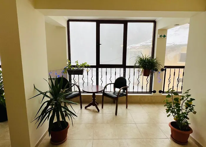 فندق фокс хаус Fox House