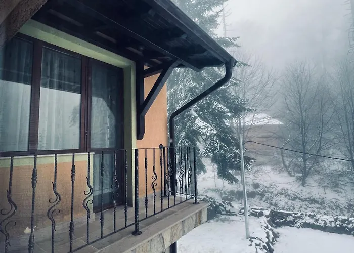 фокс хаус Fox House