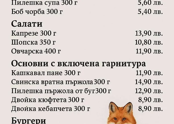 фокс хаус Fox House بيشتيرا