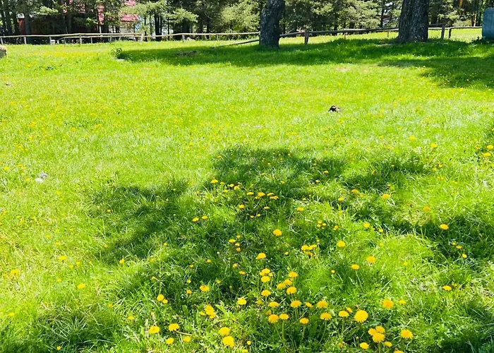 фокс хаус Fox House فندق *