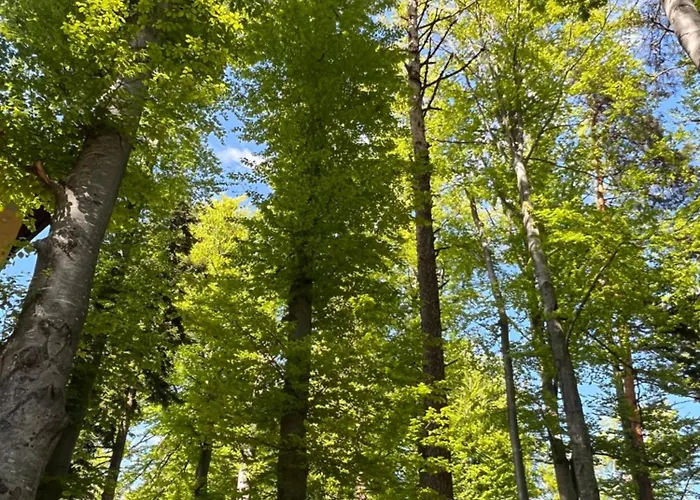 фокс хаус Fox House Hotel *