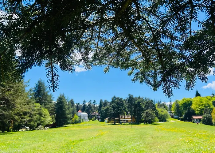 Hotel фокс хаус Fox House *