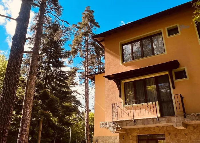 фокс хаус Fox House