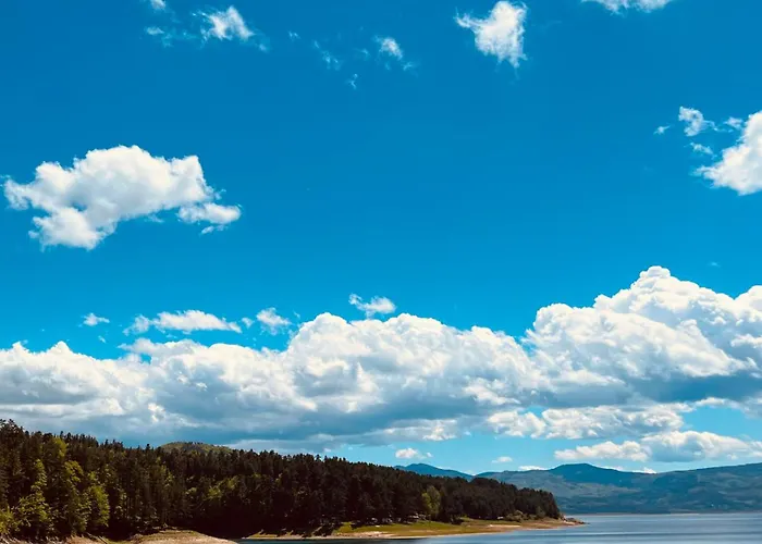 фокс хаус Fox House