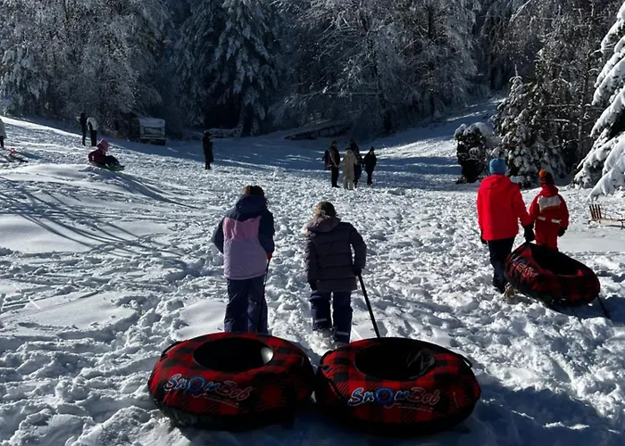 фокс хаус Fox House فندق بيشتيرا