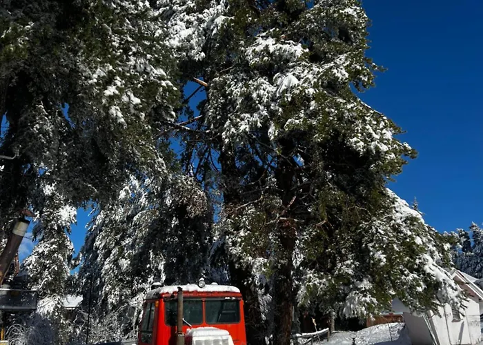 Hotel фокс хаус Fox House