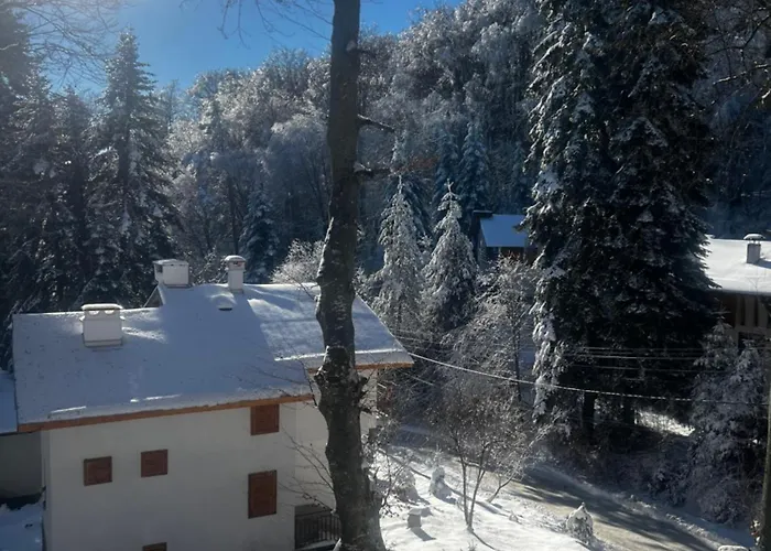 فندق фокс хаус Fox House بيشتيرا