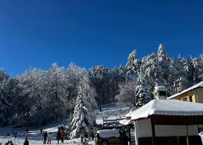 فندق фокс хаус Fox House