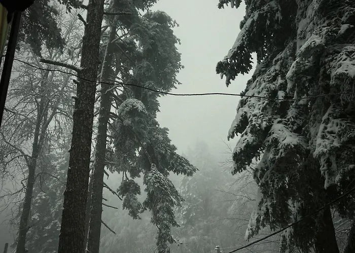 Hotel фокс хаус Fox House Peshtera (Pazardzhik)