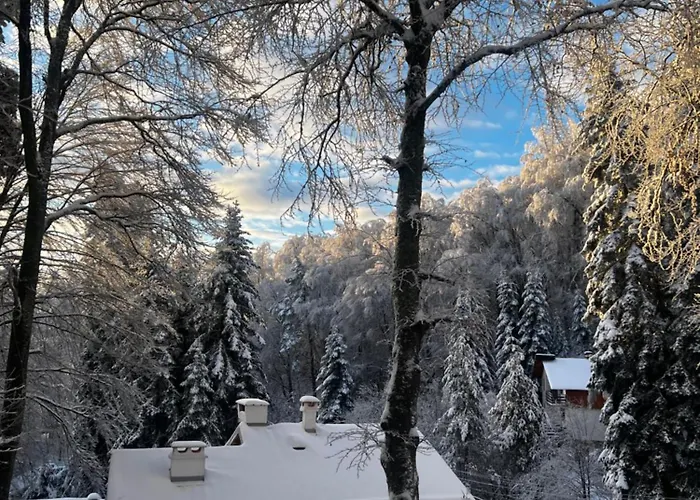 фокс хаус Fox House فندق