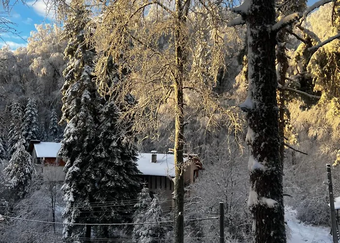 фокс хаус Fox House Hotel *