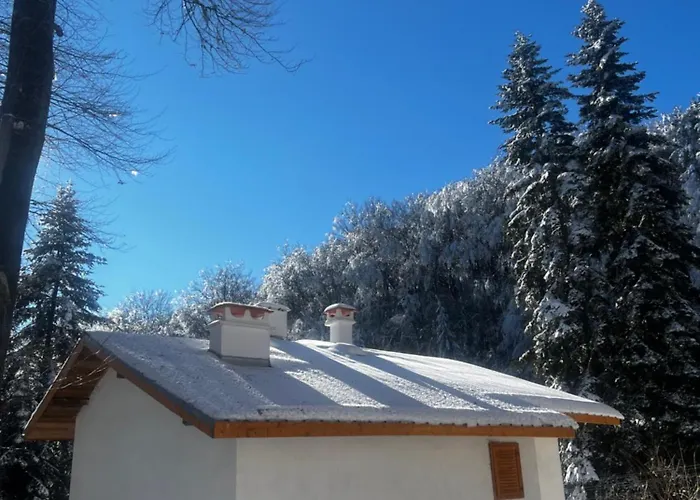 фокс хаус Fox House