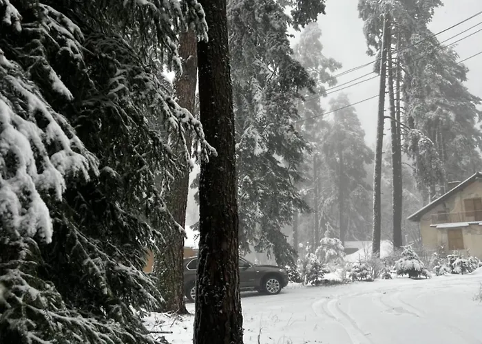 فندق фокс хаус Fox House