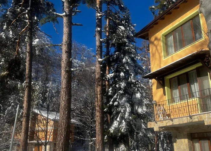 фокс хаус Fox House فندق *